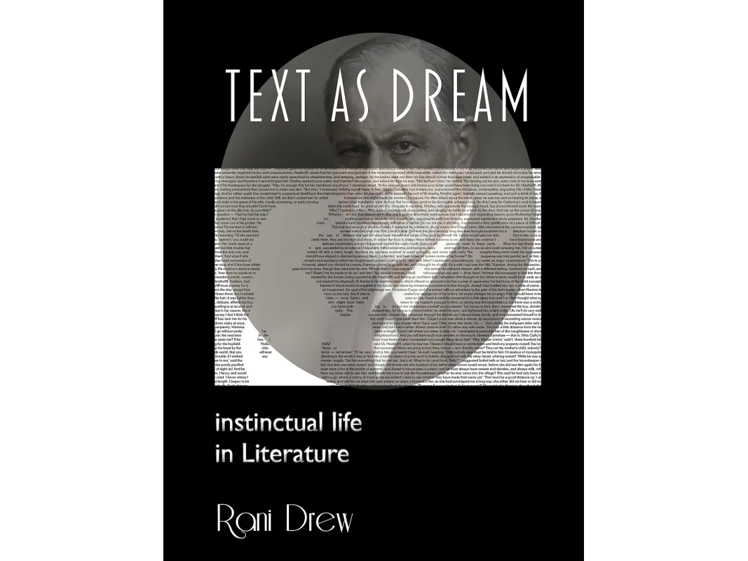 Text As Dream | Rani Drew | Språk: Engelsk