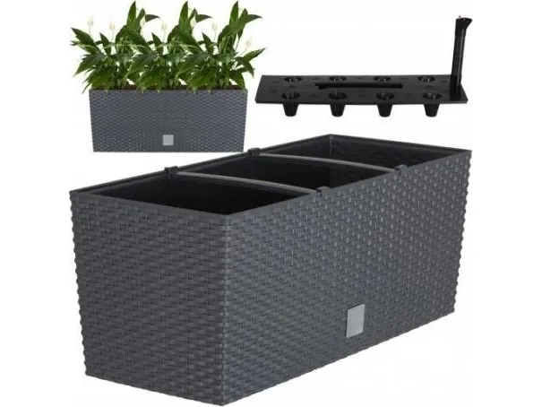 Prosperplast blomsterpotte Rato Case DRTC600 antrasitt med innhold