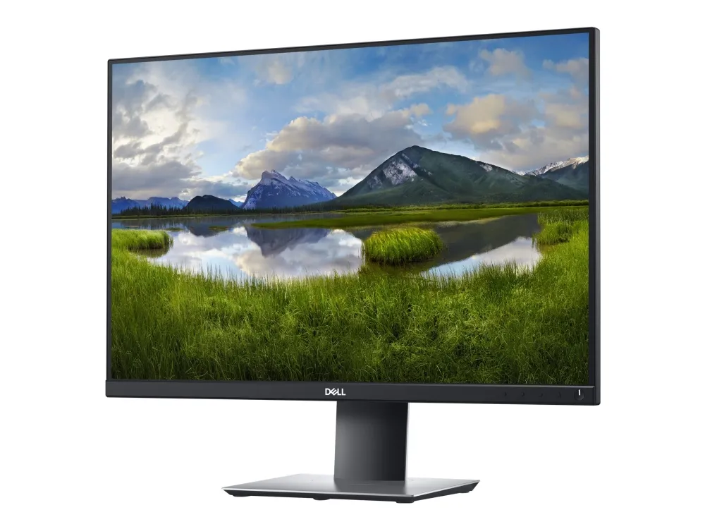 Dell P2421 - LED-skjerm - 24.1 - 1920 x 1200 WUXGA @ 60 Hz - IPS - 300 cd/m² - 1000:1 - 5 ms - HDMI, DVI, DisplayPort, VGA