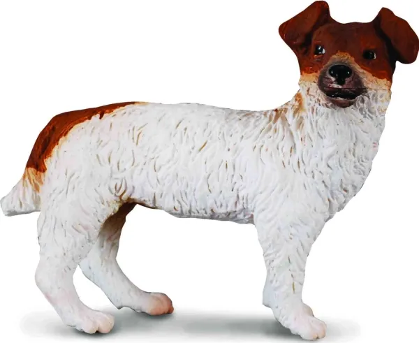 JACK RUSSELL TERRIER hund (S)