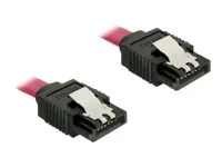 Delock Cable SATA - SATA-kabel - Serial ATA 150/300/600 - SATA (hunn) til SATA (hunn) - 20 cm - låst, rett kontakt - rød - for P/N: 89270, 89271