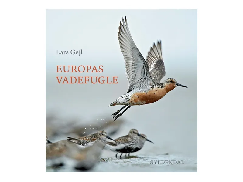 Europas vadefugler | Lars Gejl | Språk: Dansk