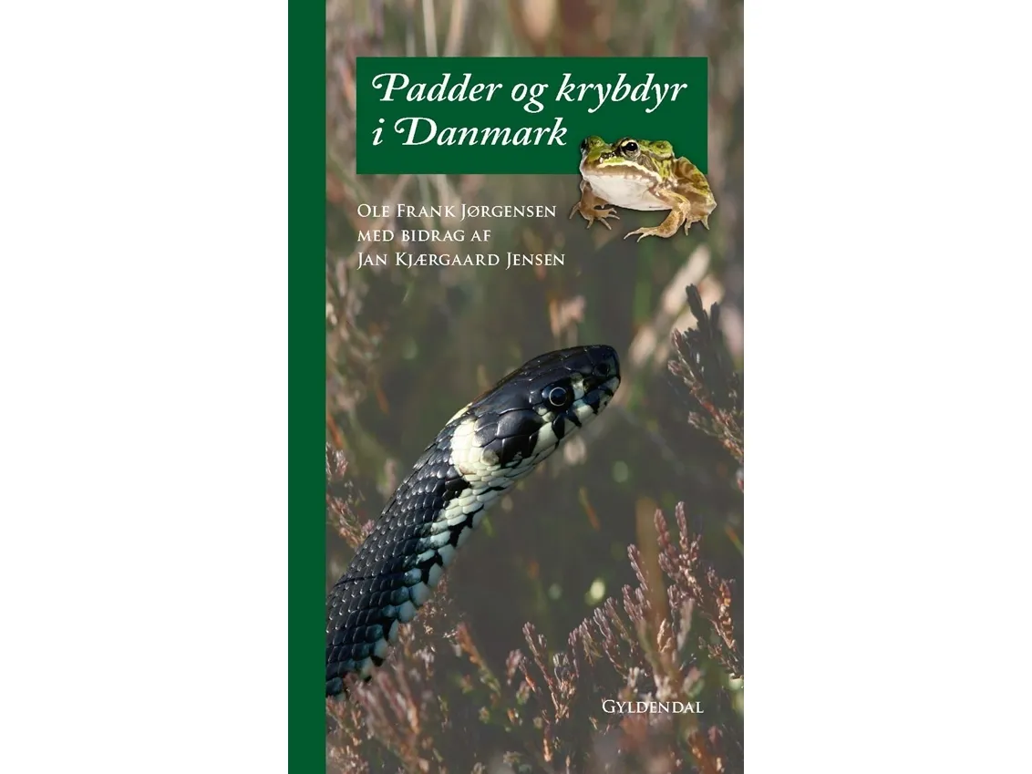 Padder og krypdyr i Danmark | Ole Frank Jørgensen | Språk: Dansk