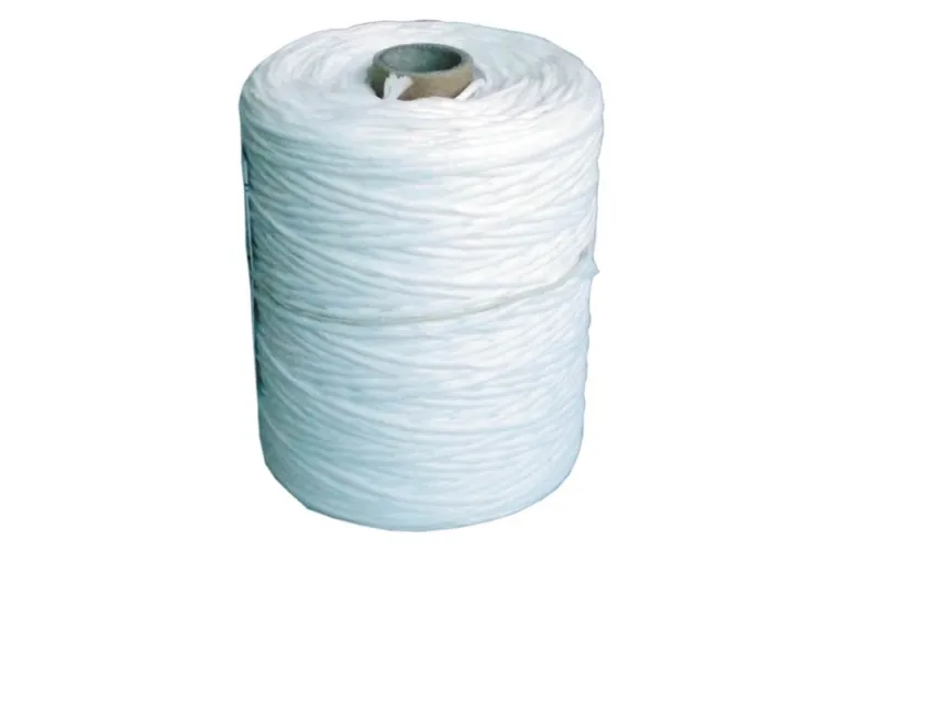 Mega snor i polypropylen 2000 m – 60978