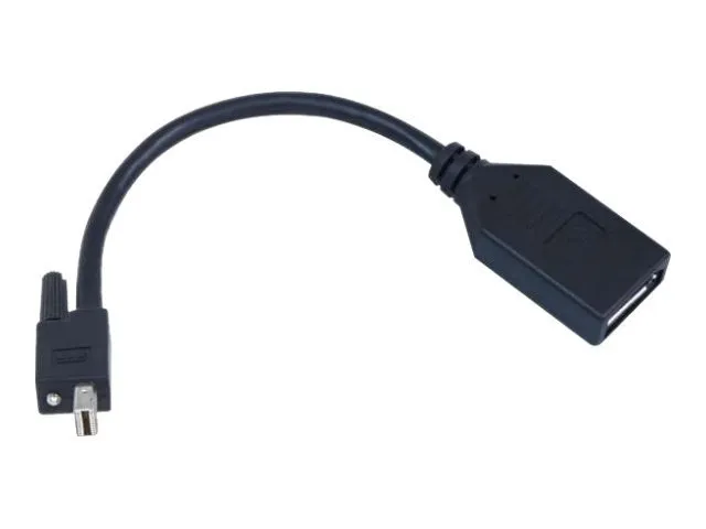 Matrox TripleHead2go upgrade - DisplayPort-adapter - Mini DisplayPort (hann) til DisplayPort (hunn) - for Matrox M9138, M9148, M9188  Graphics eXpansion Module DualHead2Go, TripleHead2Go