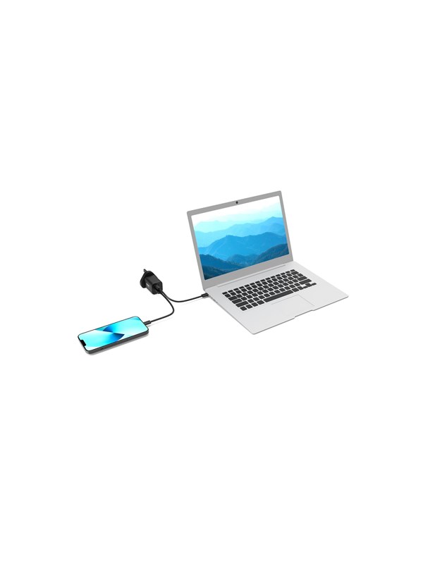 PORT Designs PORT Connect power adapter - USB 24 pin USB-C - 45 Watt