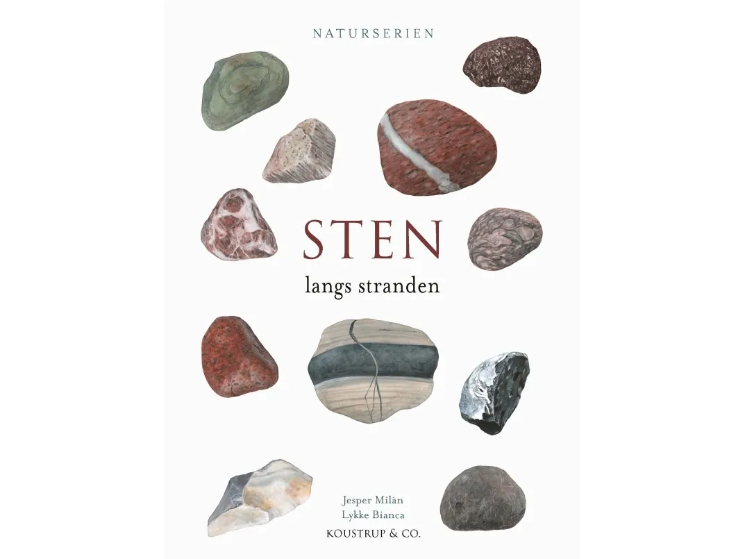 STEN | Jesper Milàn | Språk: Dansk