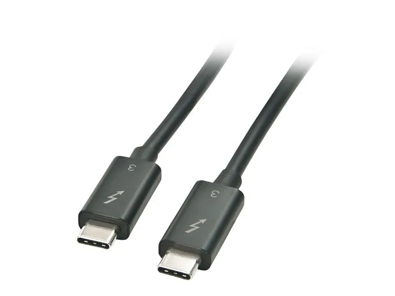 Lindy 41555, Hankjønn, Hankjønn, 0,5 m, 40 Gbit/s, Svart