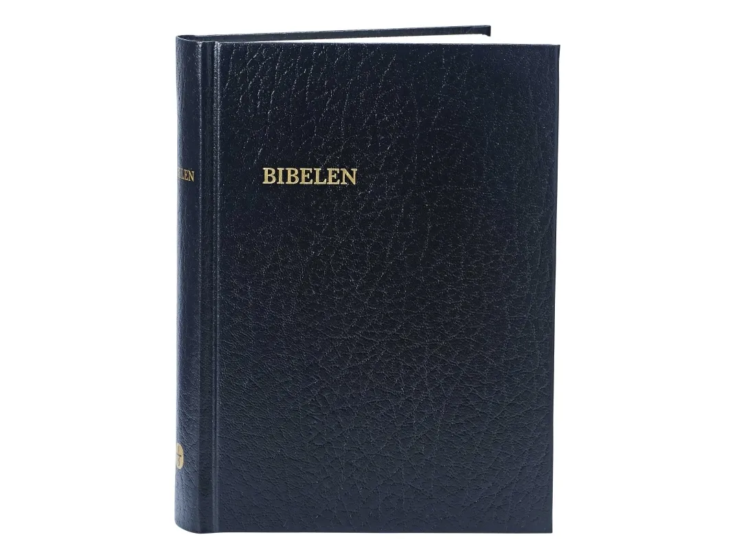 Bibelen – lite format kirkebibelen