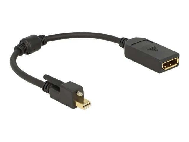Delock - DisplayPort-adapter - DisplayPort (hunn) til Mini DisplayPort (hann) - 25 cm - tommelskruer - svart