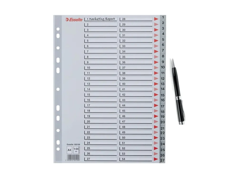 Esselte - Inndeler - fortrykt: 1-54 - for A4 (210 x 297 mm) - med fliker - grå