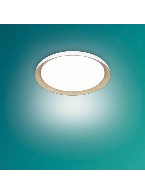 Philips Pebblo UE Ceiling SS W 10W 40K