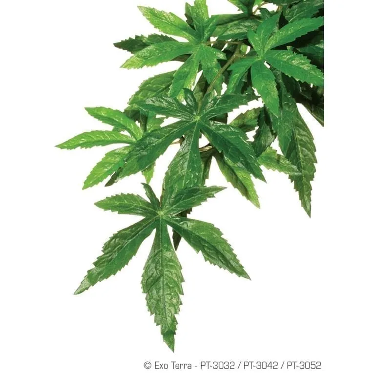 Hagen EXOTERRA ROSLINA ABULITON L