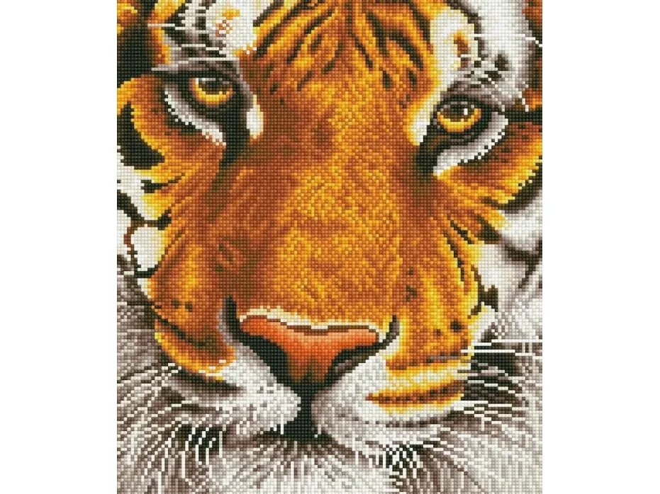 DIAMOND DOTZ ADULTS BENGAL MAGIC