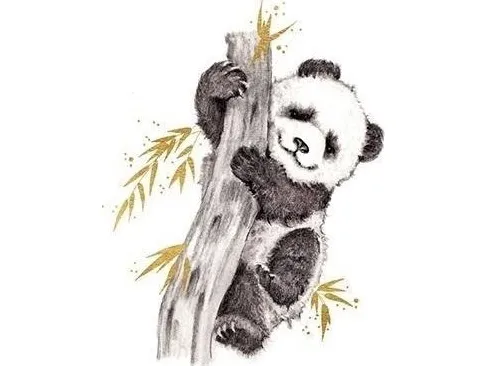 Forgylt firkantkort CL3816_BL Panda