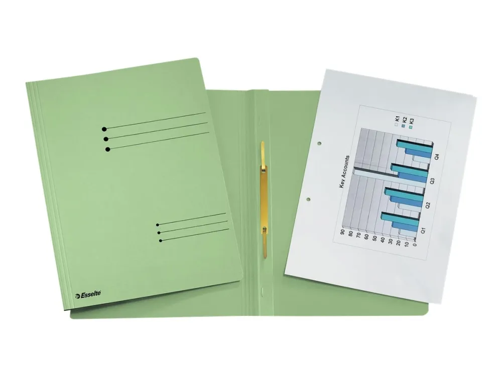 Esselte - Flat stangfil - for A4 (210 x 297 mm) - kapasitet: 250 ark - grønn