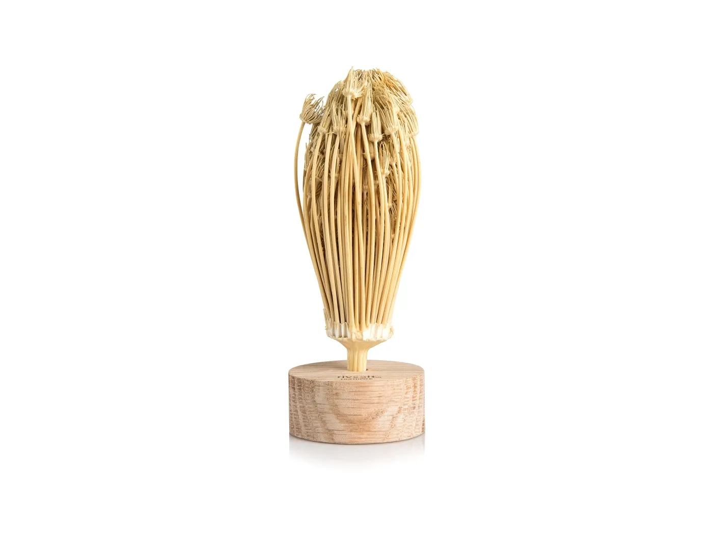 Rivsalt™ TOOTHPICK