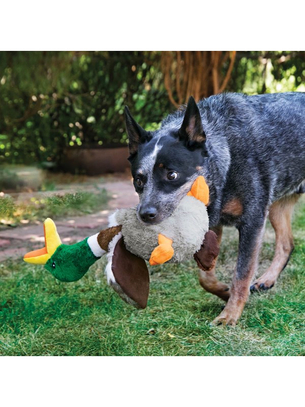 KONG Dog Toy Shakers Honkers Duck Large 45cm