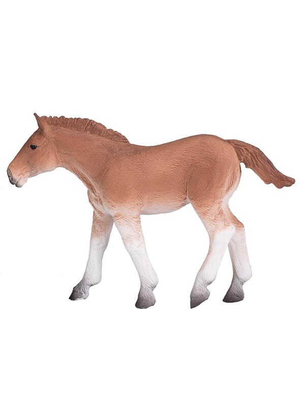Mojo - Horse World Suffolk Punch Foal