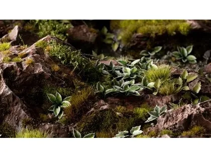 Gamers Grass Laser Plants Lilia plantain Funkia