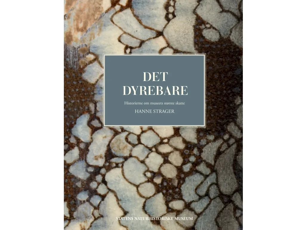 Det dyrebare | Hanne Strager | Språk: Dansk