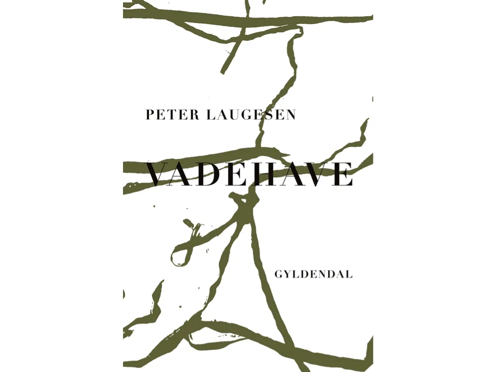 Vadehave | Peter Laugesen | Språk: Dansk