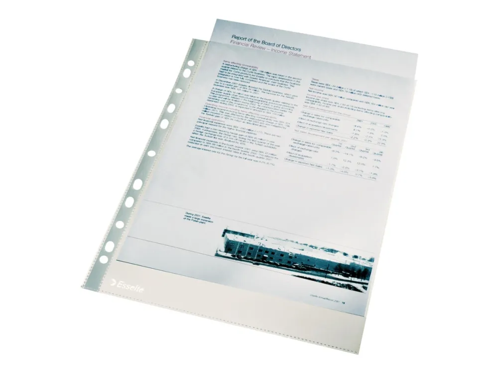 Esselte Economy - Arkbeskytter - for A4 (210 x 297 mm) - krystallklar (en pakke 100)