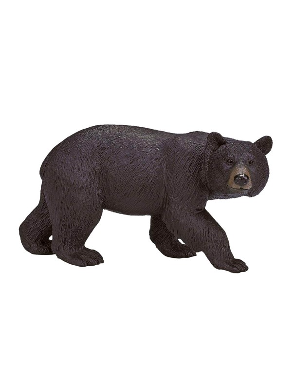 Mojo - Wildlife American Black Bear