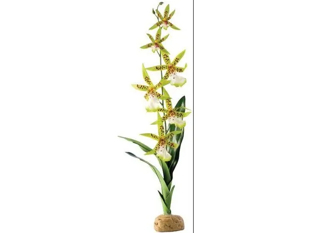 Kunstig plante - Orchid Spider Orchid