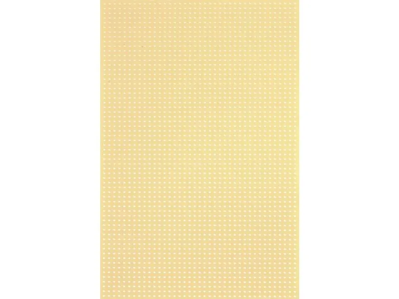 Rademacher WR-Typ 716-5 Kretskort uten Cu-belagging Papp/Hardpapir (L x B) 16 x 10 cm Rutenett 2,5 mm, 1 stk