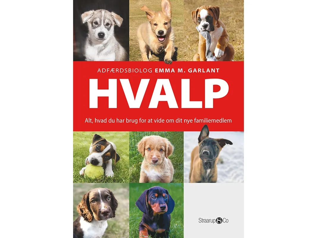 Valp | Emma M. Garlant | Språk: Dansk