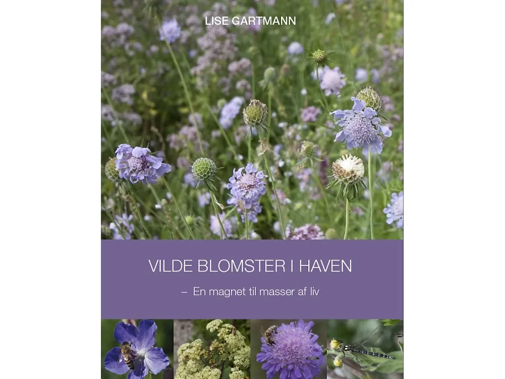 Vilde blomster i hagen | Lise Gartmann | Språk: Dansk