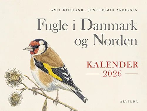 Fugler i Danmark og Norden - Kalender 2026 | Axel Kielland, Jens Frimer Andersen | Språk: Dansk