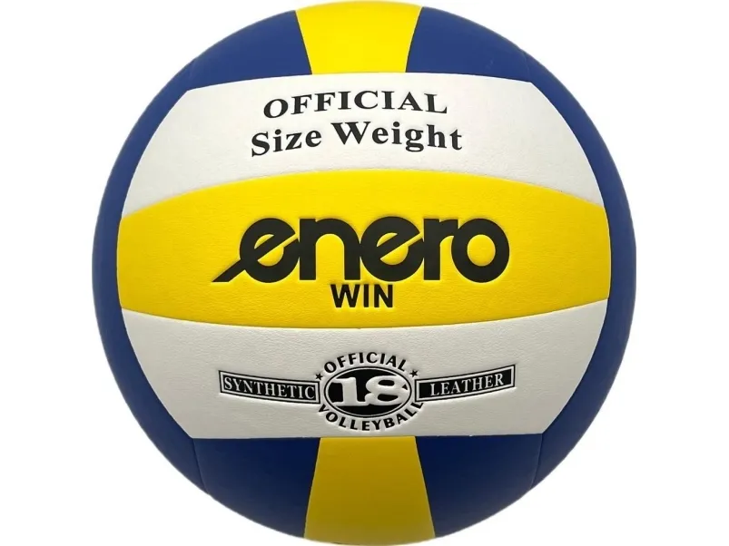 VOLLEYBALL ENERO SEIER