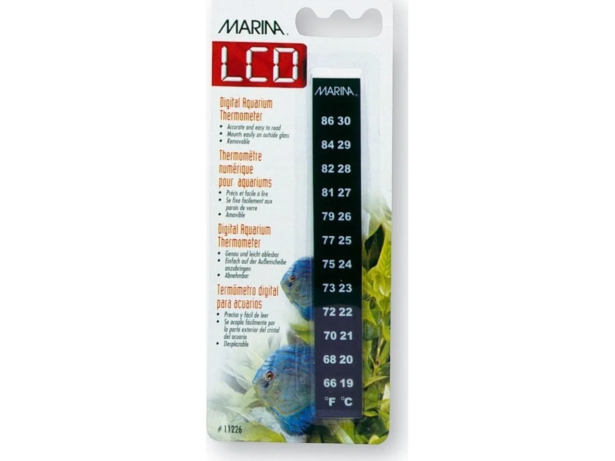 Marina Minerva elektronisk termometer LCD