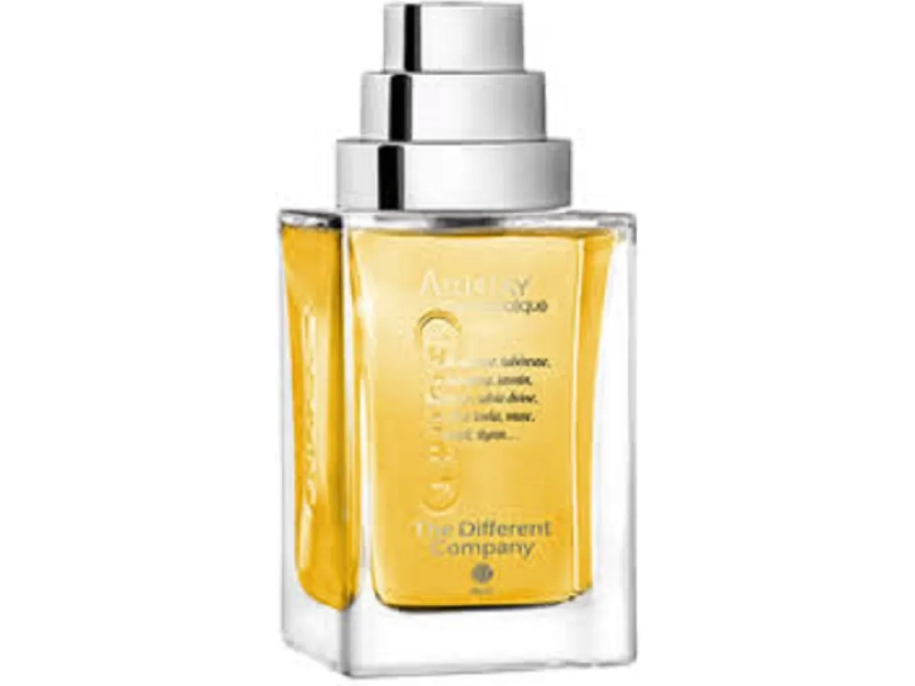 The Different Company Santo Incienso Sillage Sacre Extrait De Parfum Unisex 100 ml