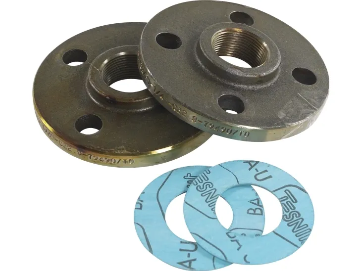 Grundfos 1.1/4 flange T10