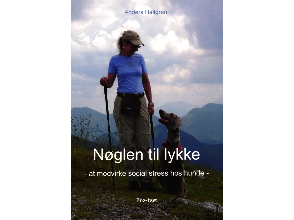 Nøkkelen til lykke | Anders Hallgren | Språk: Dansk