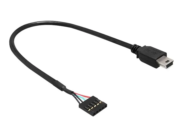 Delock USB 2.0 Pin Header - Intern-til-ekstern USB-adapter - mini-USB type B (hann) til 5-pins USB 2.0-hode (hunn) - 30 cm - svart