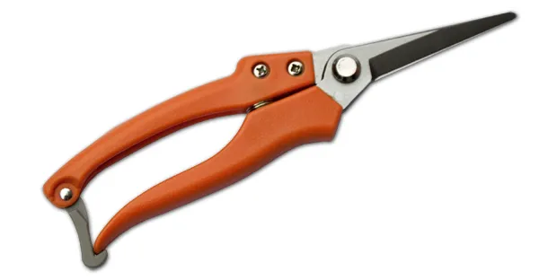 Bradas KT-V3P