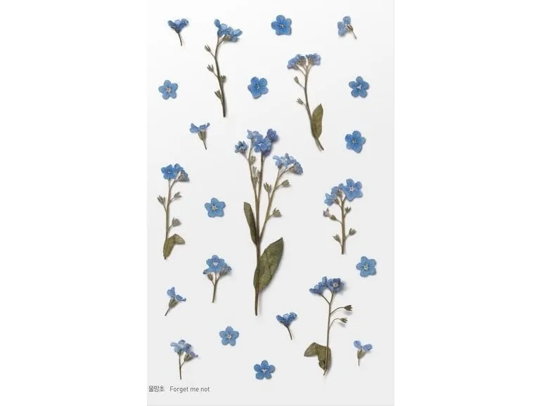 Appree dekorative klistremerker blomster Niezapominajki