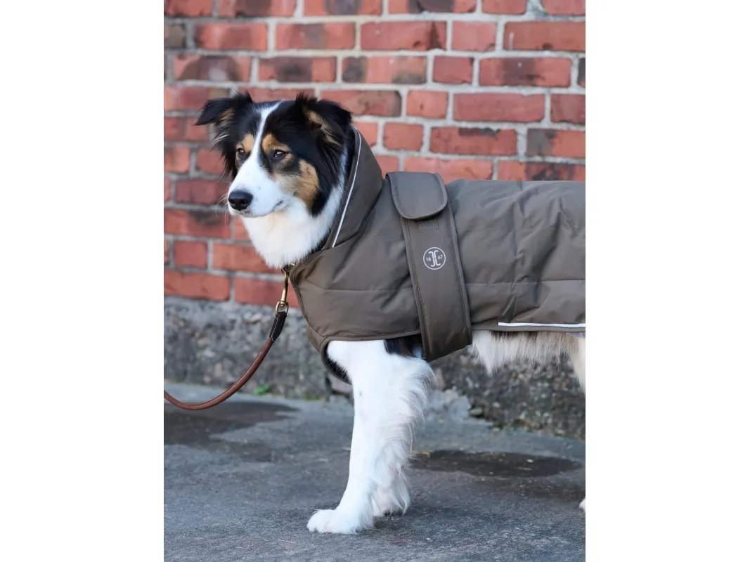 Jacson Squeaky Hundedekke Brun 20cm