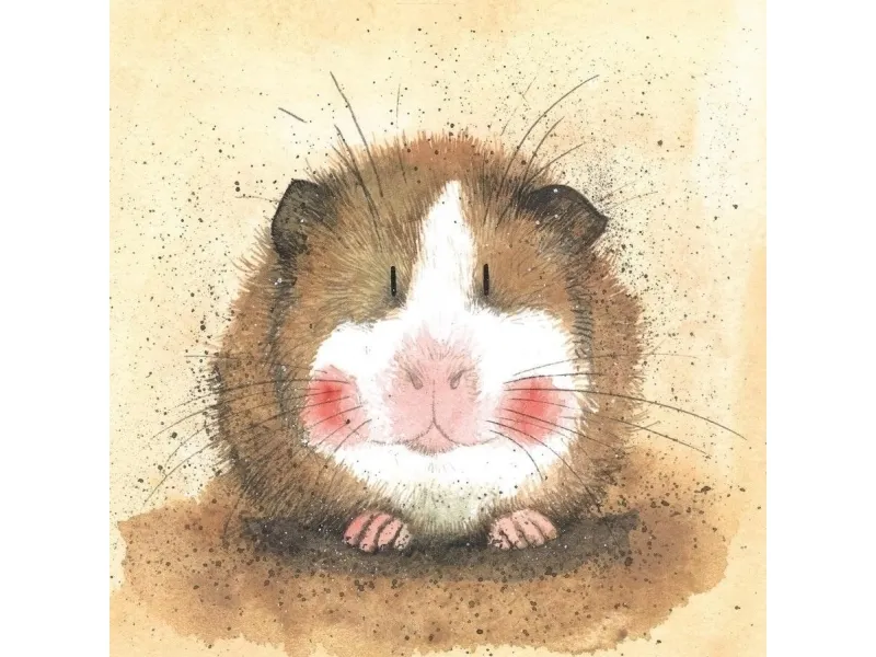Carnet AC412 Guinea Pig Gilbert gavekort