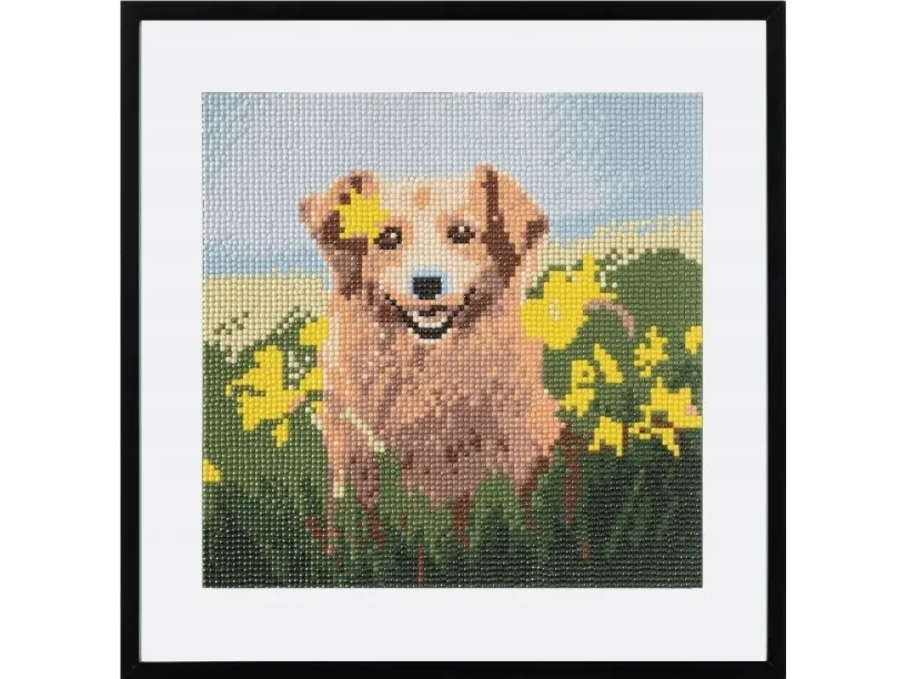 Witek Home Diamantmaling - Hund 30x30cm