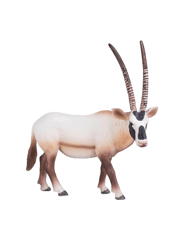 Mojo - Wildlife Oryx