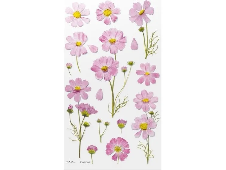 Appree dekorative klistremerker blomster Kosmos Aster