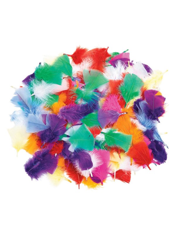 Colorations - Rainbow feathers 85 grams