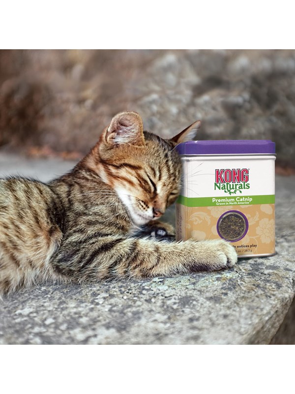 KONG Naturals Premium Catnip 28g
