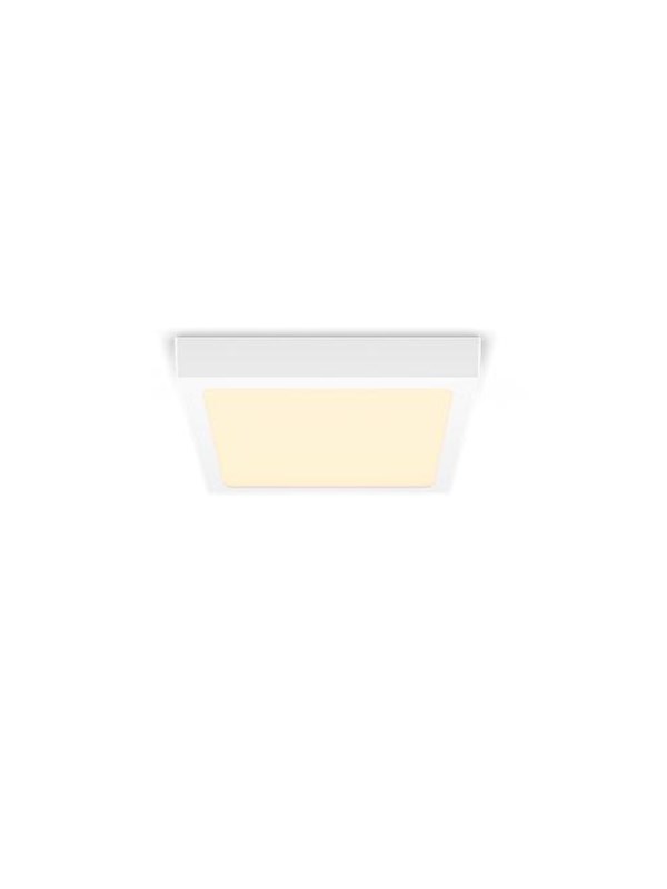 Philips MAGNEOS SF DL252 SQ 210 12W 27K WH 06