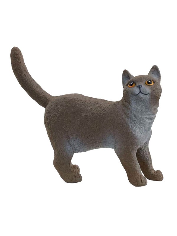 Schleich Britisk korthår Katt